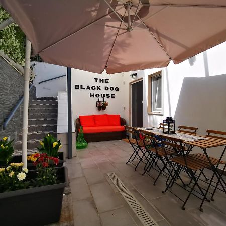 The Black Dog House Valenzano Εξωτερικό φωτογραφία